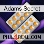 Adams Secret levitra2